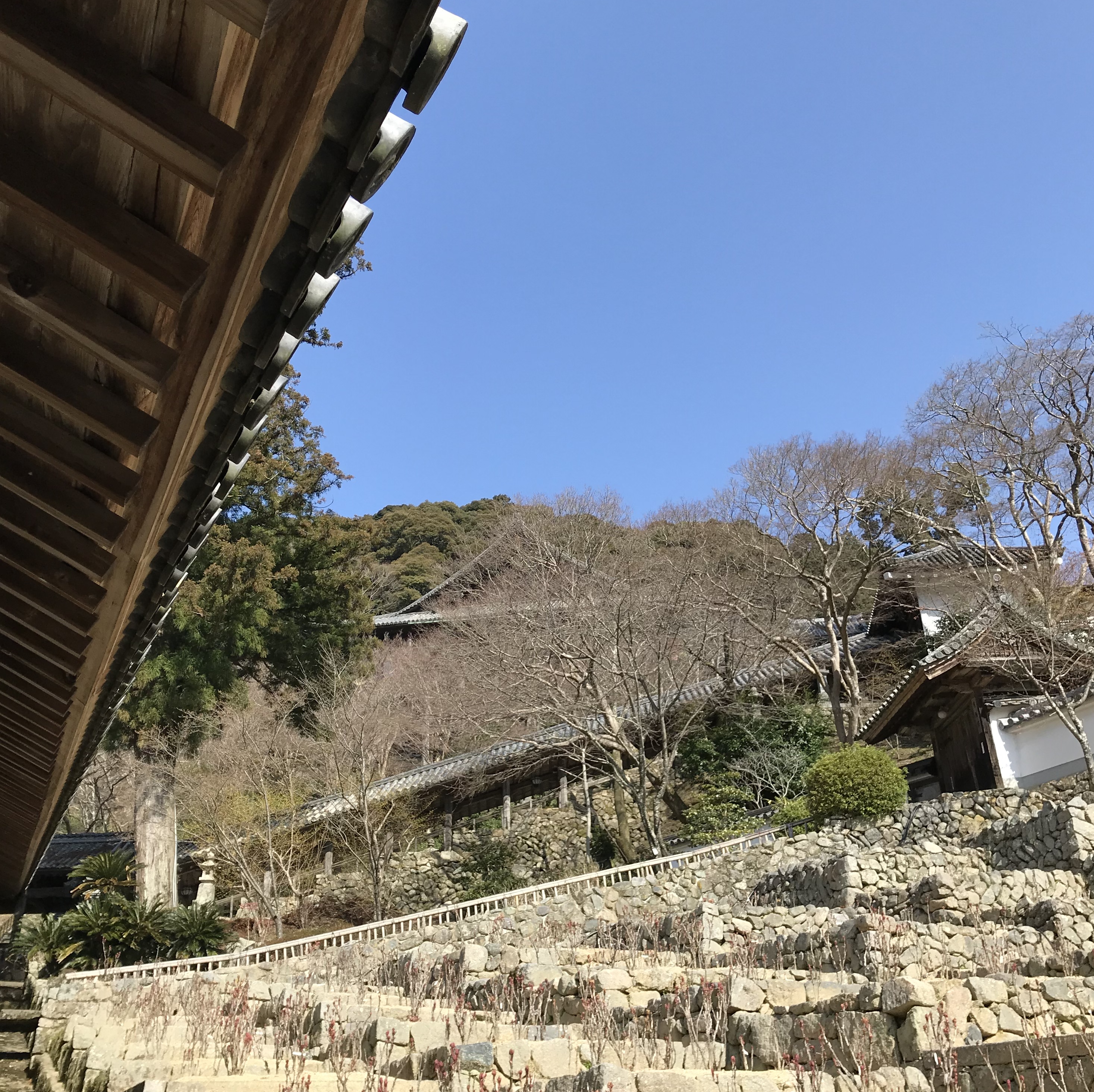 長谷寺　登楼からの景色1