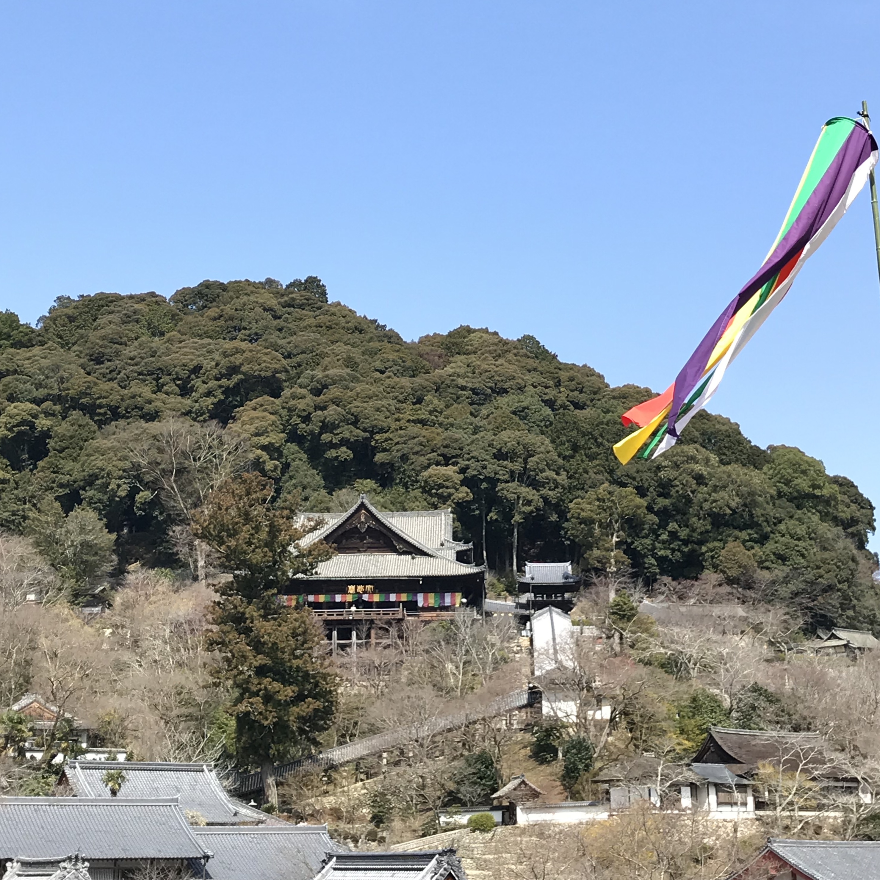 長谷寺　本坊から本堂を望む