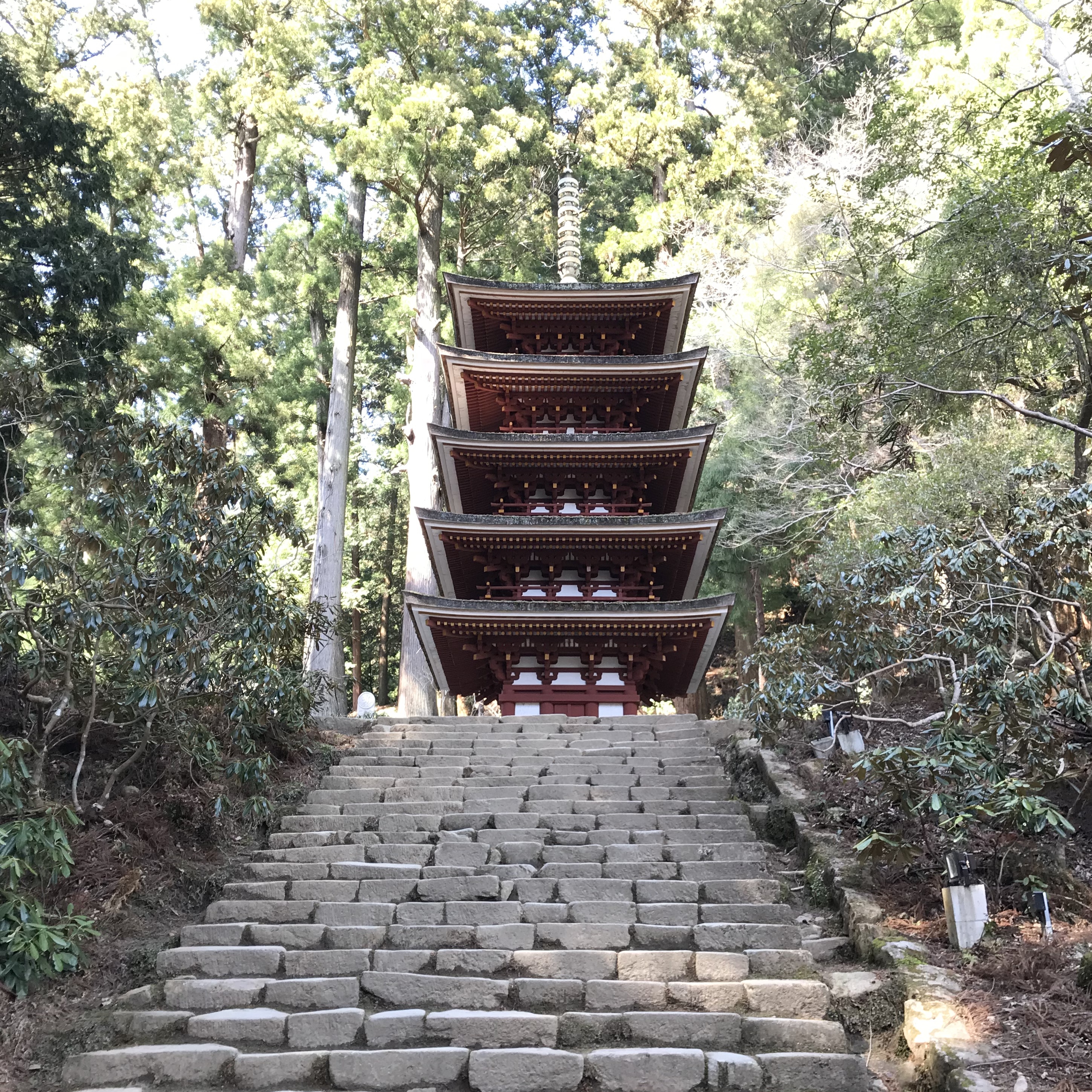 室生寺　五重塔　下から