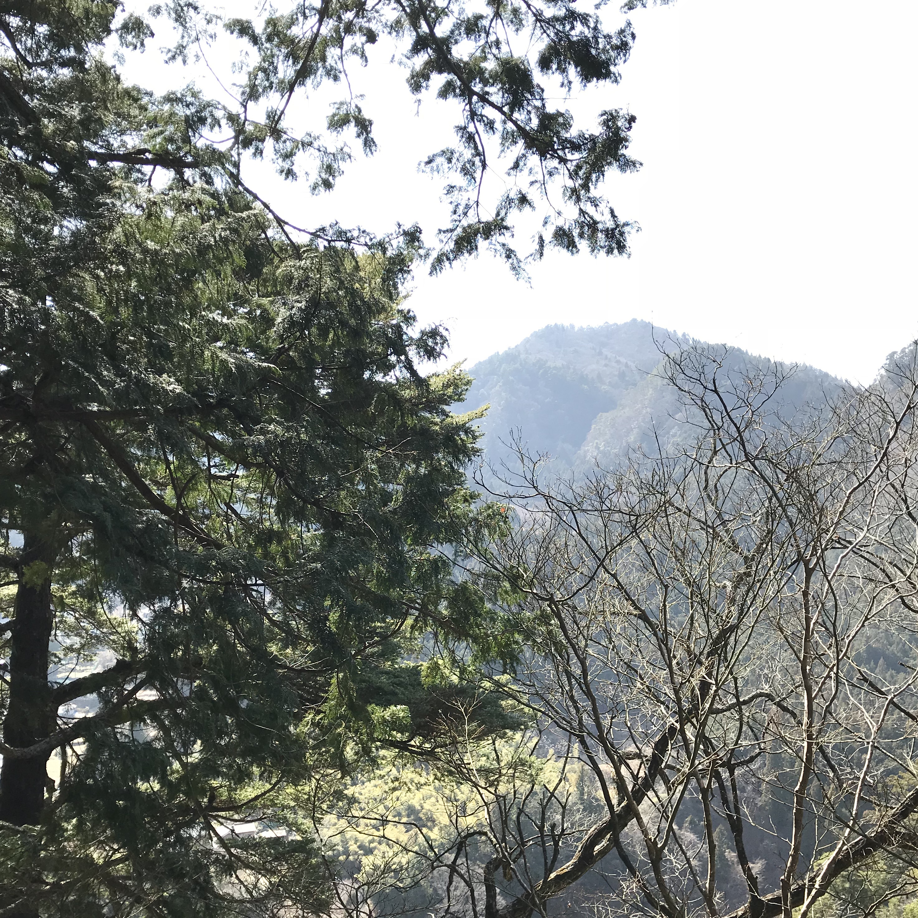 室生寺奥の院から見た風景