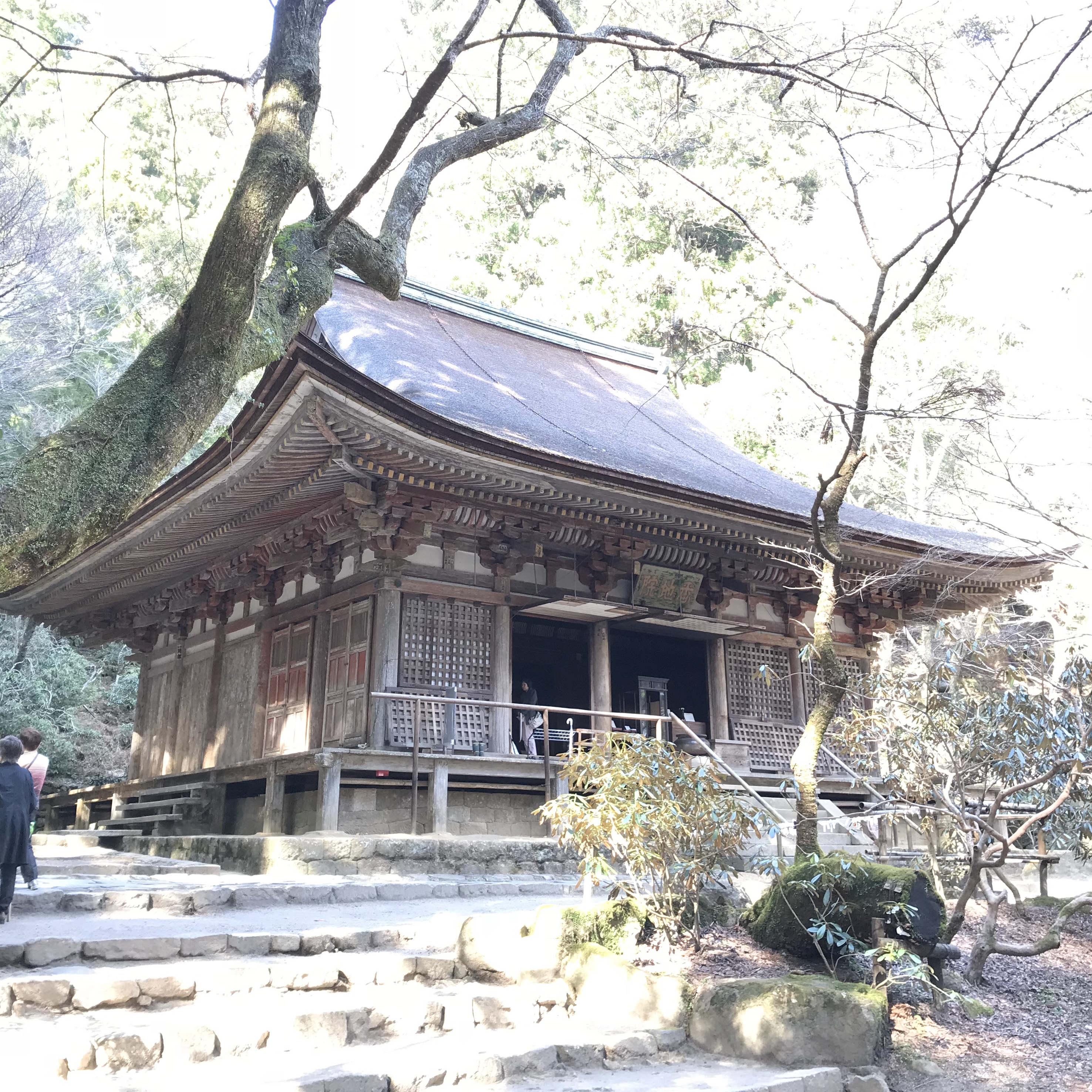 室生寺　本堂（灌頂堂）